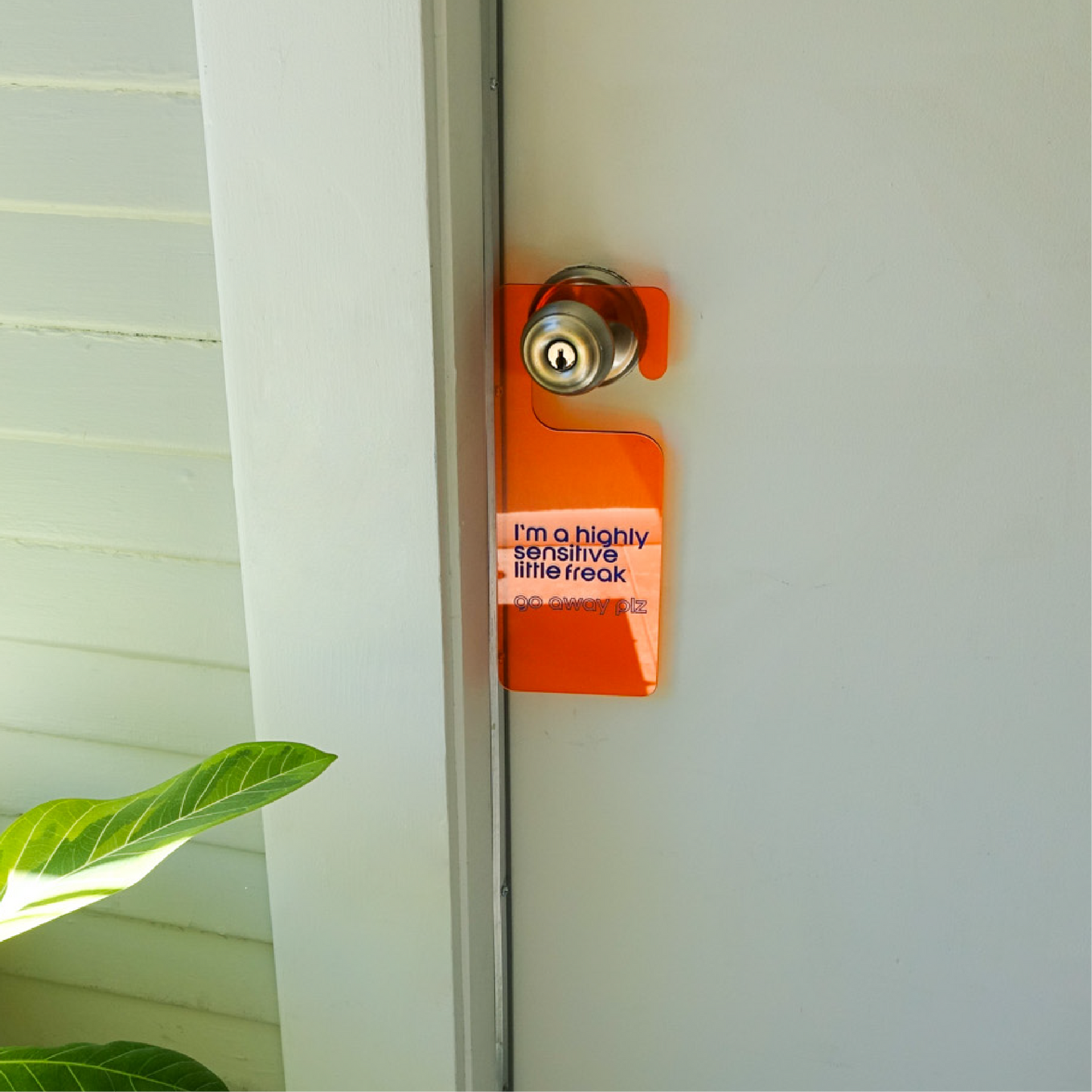 Highly Sensitive Door Hanger
