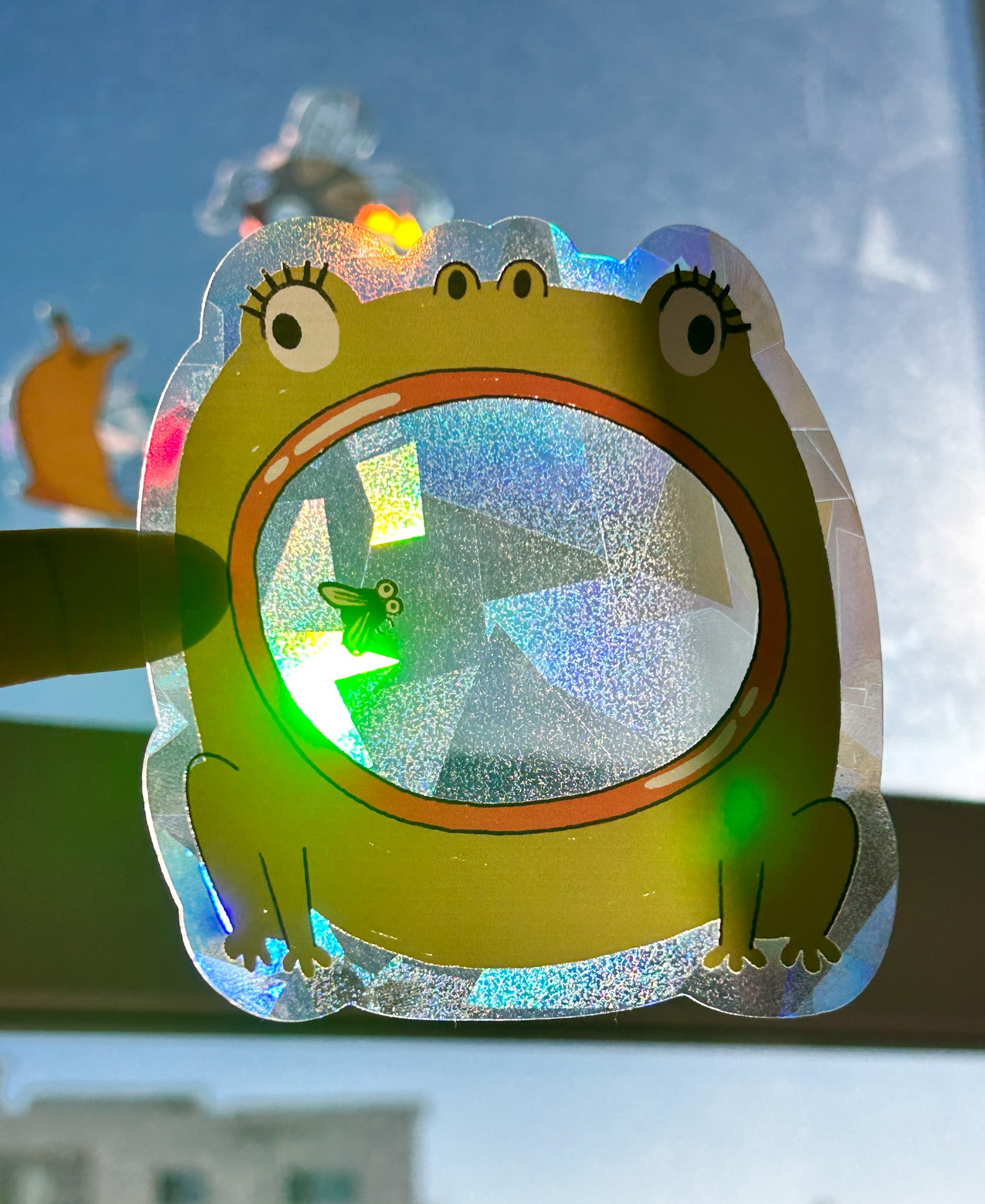 Frog suncatcher decal on sunlit window casting rainbow reflections