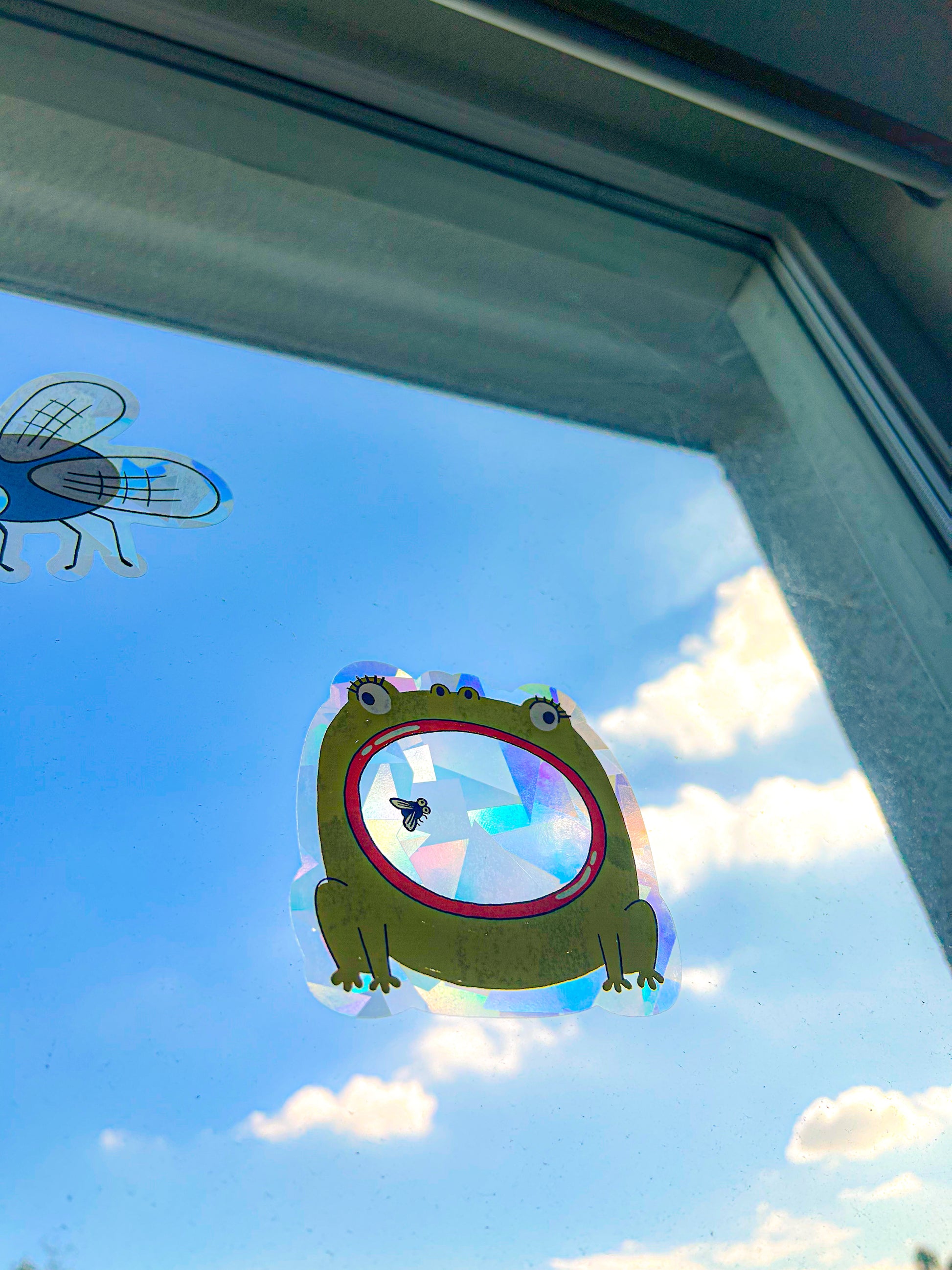 Colorful rainbow light patterns from frog suncatcher window sticker